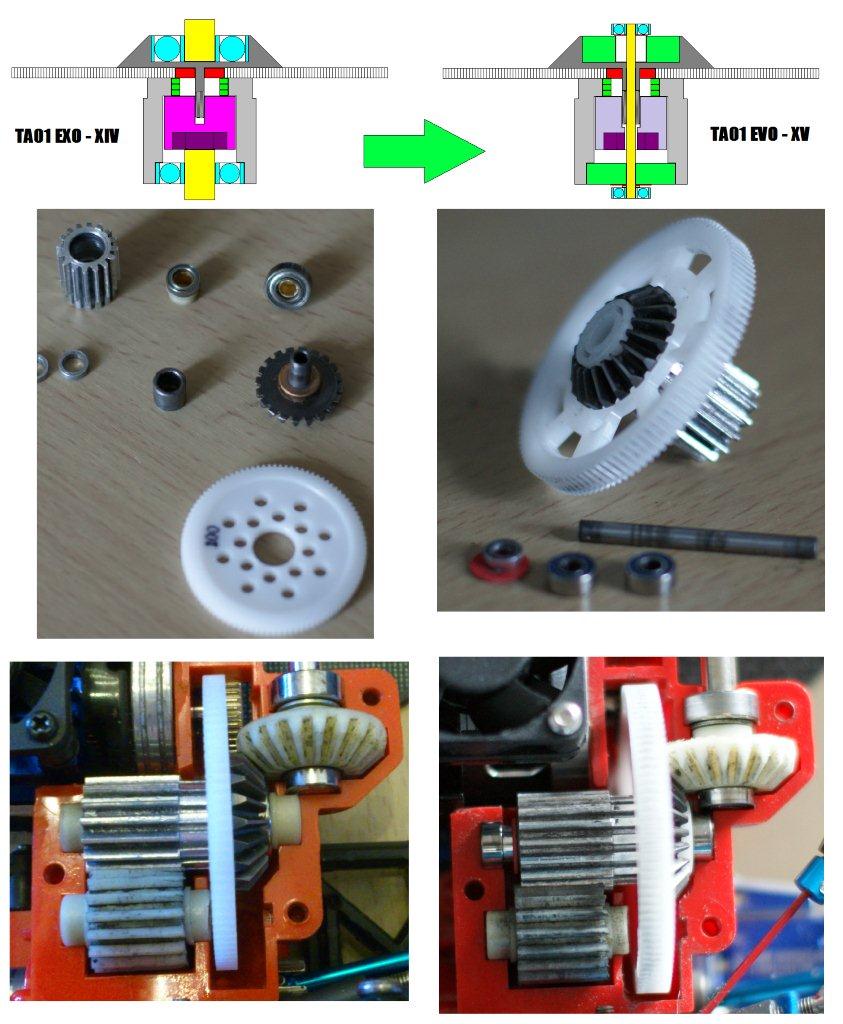 SPUR GEAR new.jpg