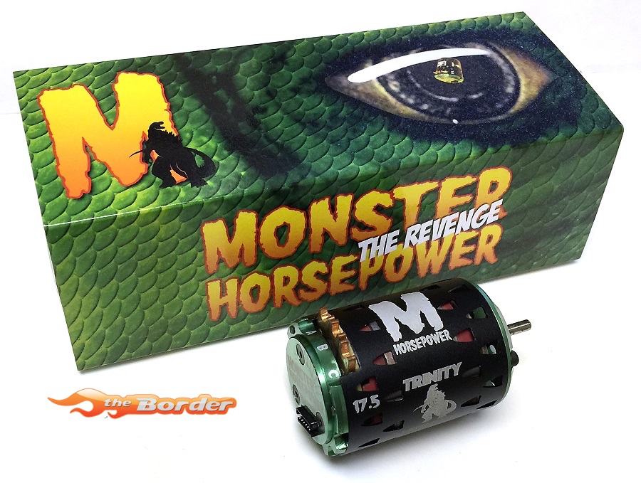 Trinity-Monster-Horsepower-17.5-Motor-Charity-Auction-2-1.jpg