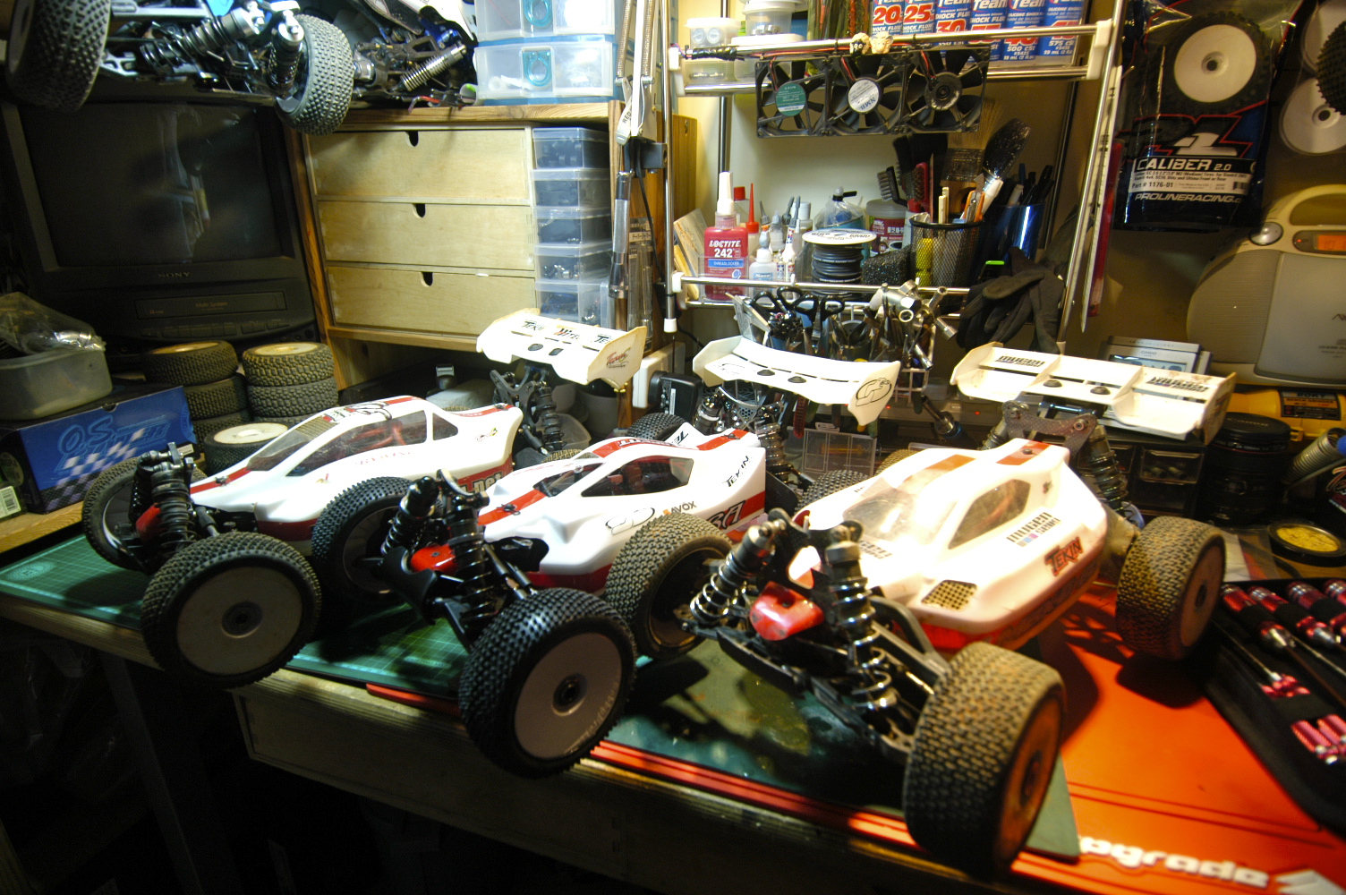 DSC_1665.JPG