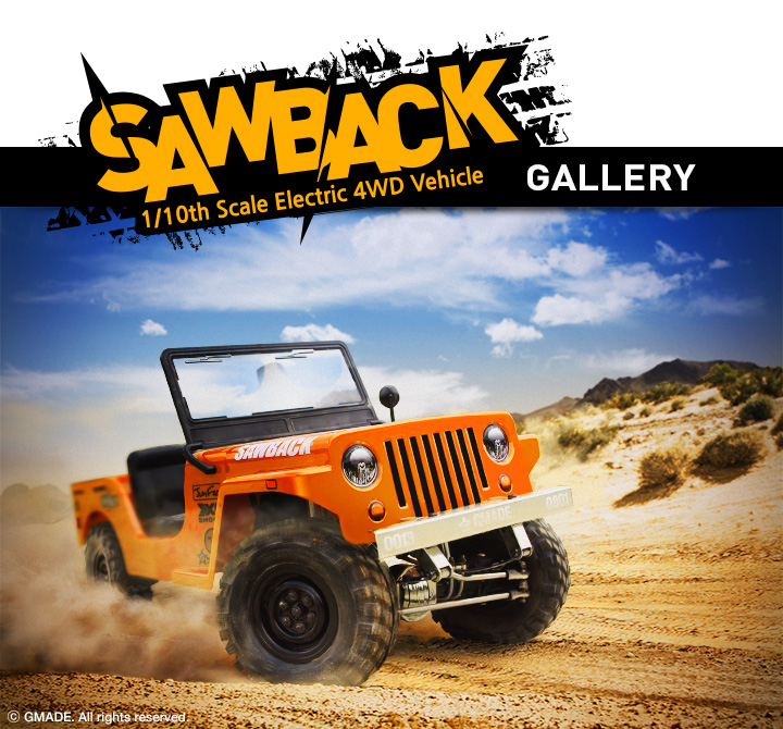 010_sawback01.jpg
