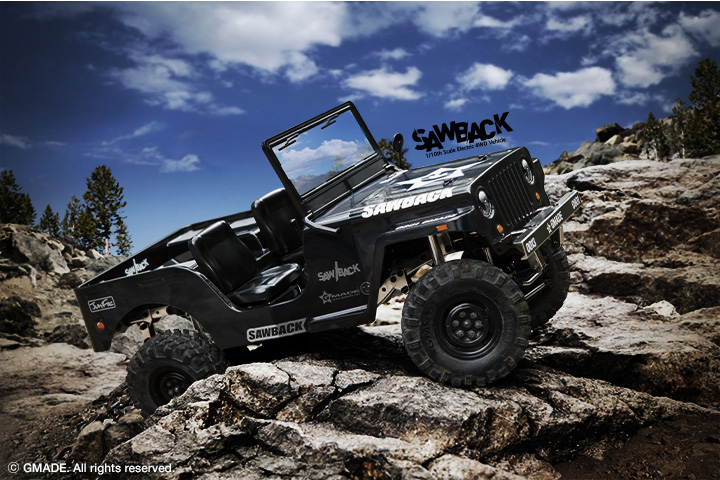 010_sawback03.jpg