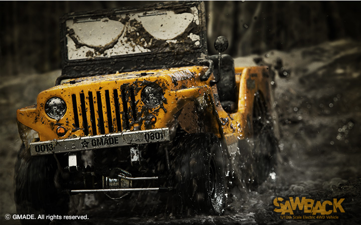 010_sawback04.jpg