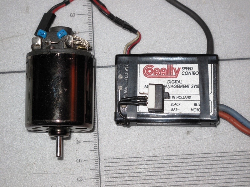 corally esc.jpg