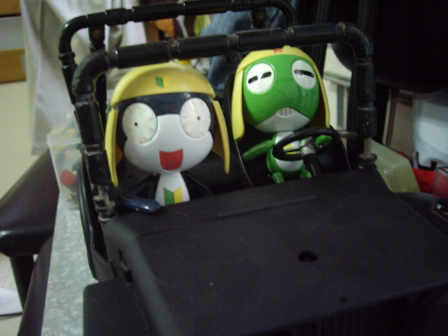 IMGP0856.JPG