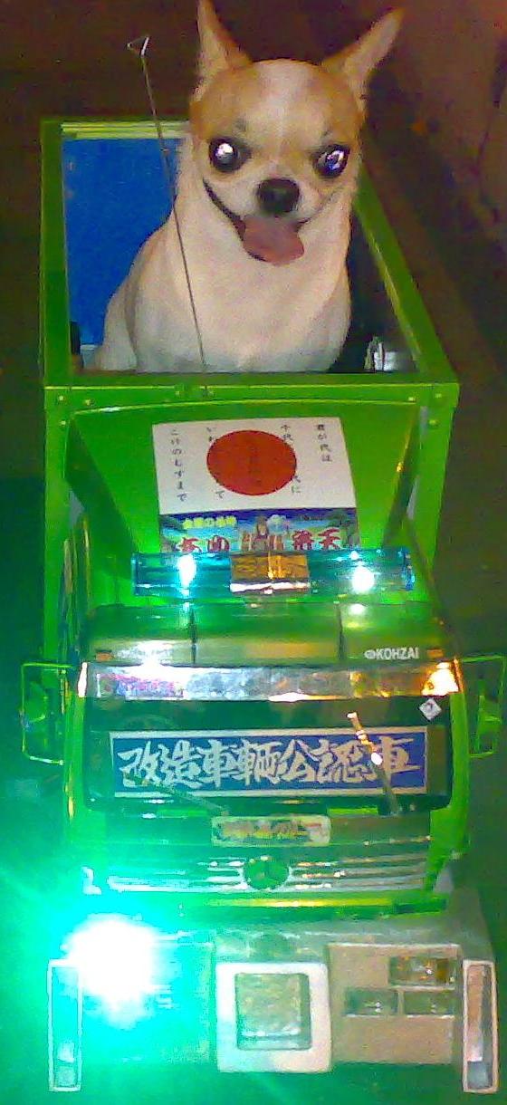 mydog.jpg